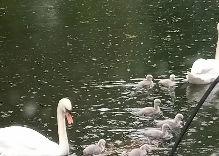 Péniche Helios Botel